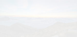 portfolio-bg